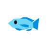 小魚