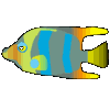 熱帯魚